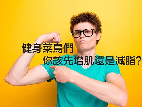 健身新手們先該減脂還是增肌？